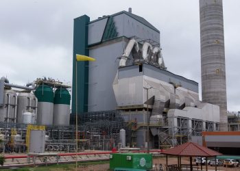 CMPC anuncia grande investimento em sustentabilidade