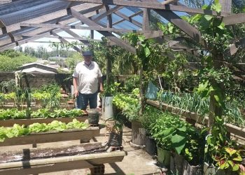 A Horta Orgânica e o Exemplo do Seu Daniel