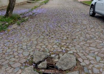 Armadilha no Meio da Rua