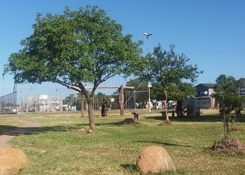 Programa Empresa Amiga do Esporte abre espaço para investimento privado