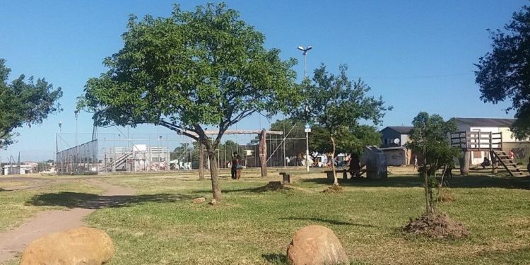 Programa Empresa Amiga do Esporte abre espaço para investimento privado