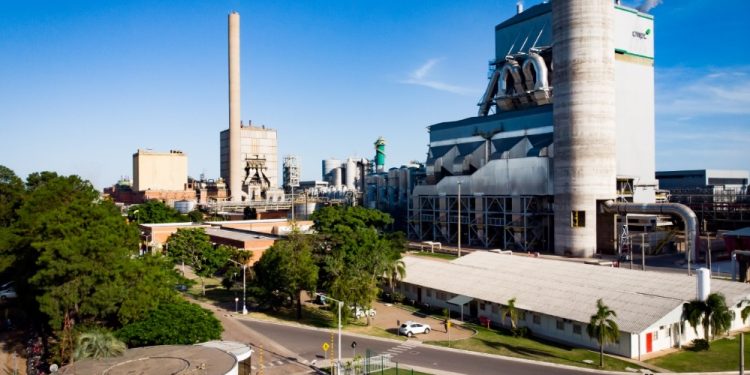 CMPC sobe posições no prêmio 500 Maiores do Sul