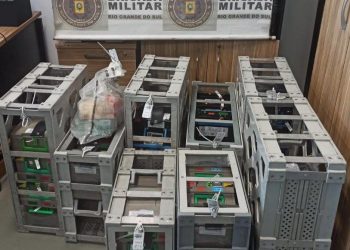 Assalto a Carro-forte em Supermercado