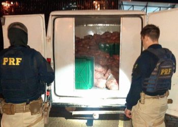 Mais de uma tonelada de peixes transportados sem refrigeração