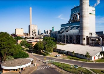 CMPC busca parcerias com startups