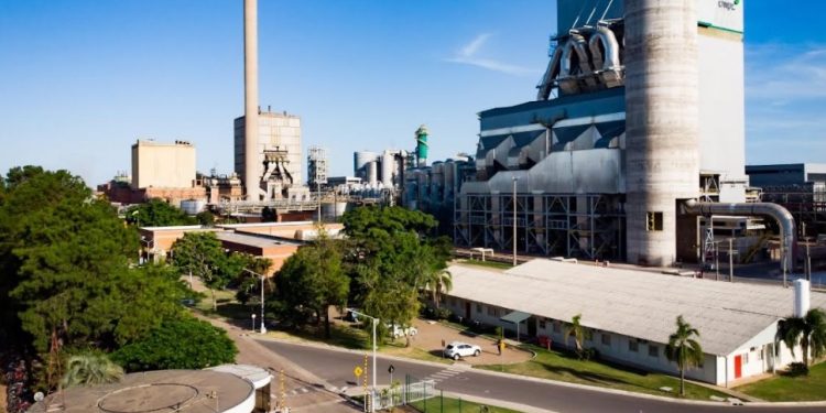 CMPC busca parcerias com startups