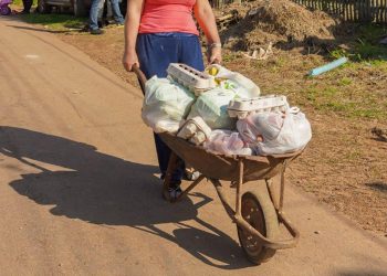 Distribuição de Alimentos no Recesso Escolar em Guaíba