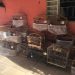 Operação contra o tráfico de animais é realizada em 13 cidades