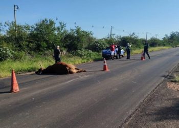 Perigo para quem trafega na Estrada do Conde