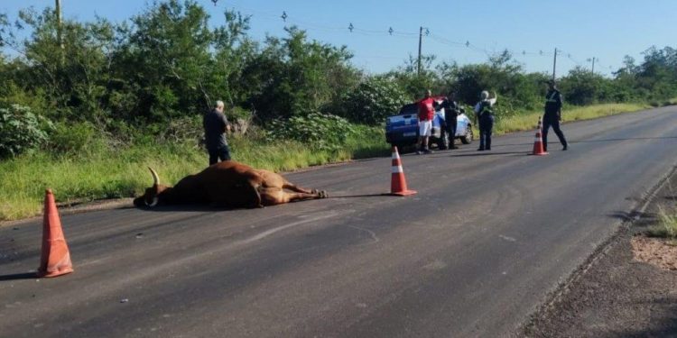Perigo para quem trafega na Estrada do Conde