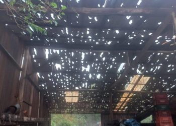 Temporal causa destruição no Interior da Região