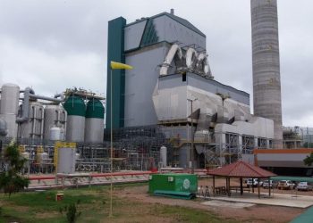 CMPC fecha primeiro trimestre com receita de US$ 2,129 bilhões