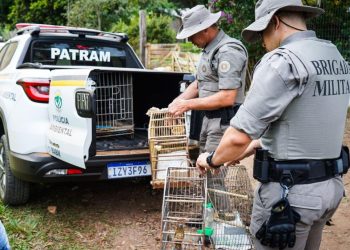 Apreensão de Aves Silvestres em Guaíba