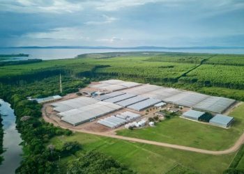 CMPC desenvolve projeto de reúso de água na Barba Negra