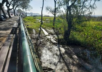 Dano Ambiental na Orla Central de Guaíba