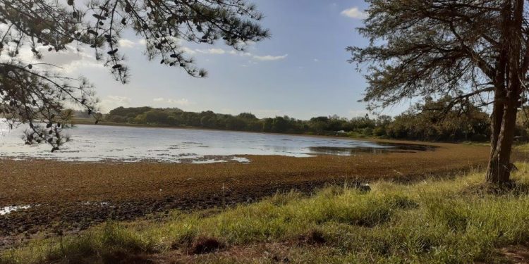 Belo espaço de lazer necessita de cuidados no Bairro Pedras Brancas