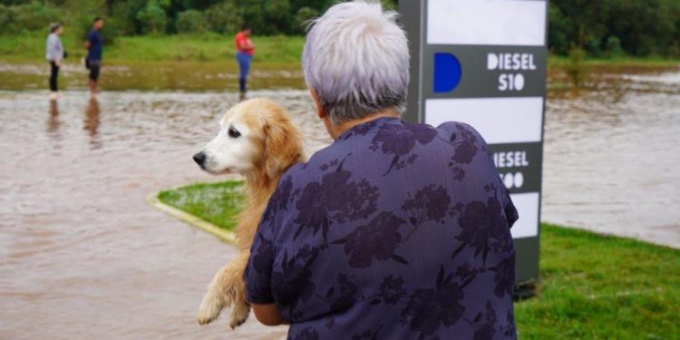Resgate e Acolhimento dos Pets