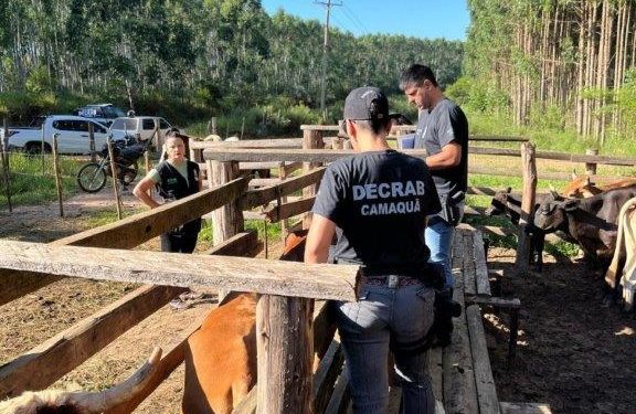 Segue o Combate ao Furto Abigeato