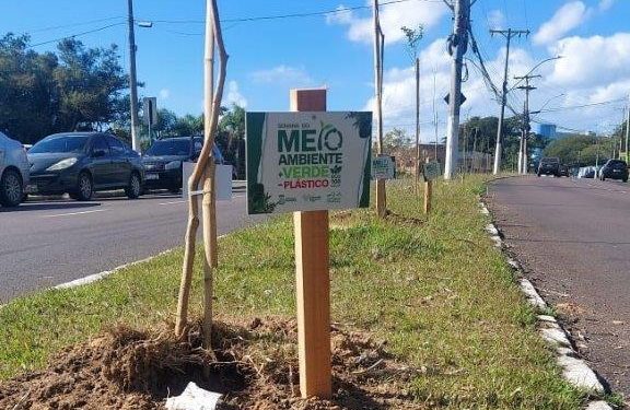 Foto traduz algo de interessante do raciocínio humano