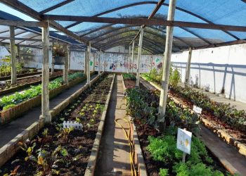 Hortas nas Escolas de Guaíba