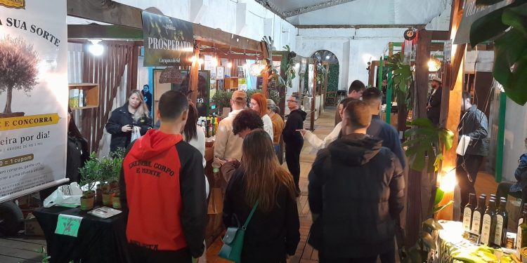 Olifeira se destaca no setor olivicultura no RS