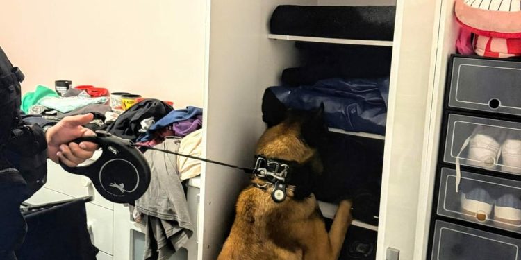 Organização Criminosa na Penitenciária Feminina de Guaíba