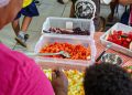 Projeto Férias na Escola oferece alimentação e promove integração entre estudantes