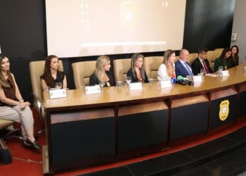 Polícia Civil do RS prende 29 pessoas e apura 102 denúncias contra agressores em 24 horas