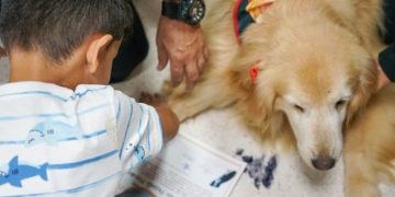 Cães especiais auxiliam tratamentos físicos, mentais e emocionais