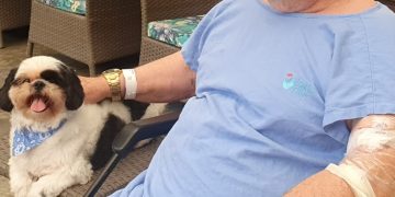 Aprovado projeto que permite a visita de pets a pacientes internados em hospitais