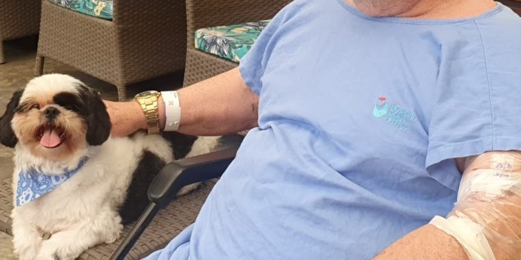 Aprovado projeto que permite a visita de pets a pacientes internados em hospitais